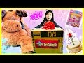 Giant Surprise Box of Toys Insider Surprise Mystery Box with Giant Mr. Moose Plush