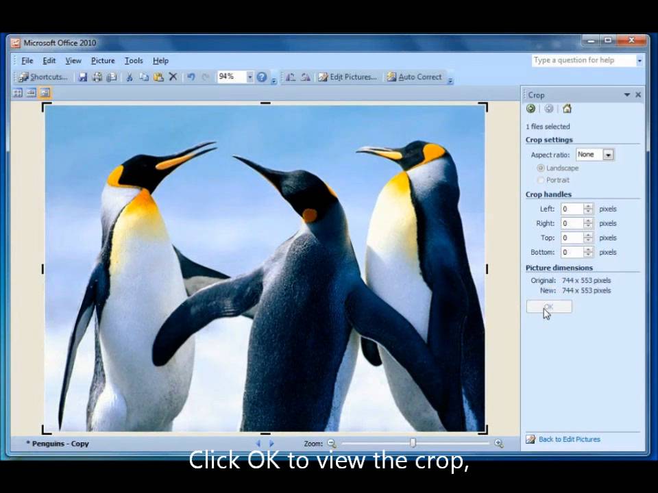 Basic Photo Editing, Microsoft Office 2010, Microsoft Office Picture  Manager - YouTube