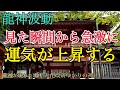 【超強力 龍神波動】見た瞬間から運気が上昇する龍神パワー「願望達成」「金運アップ」龍が現れた大化改新ゆかりの神社【遠隔参拝】 前編