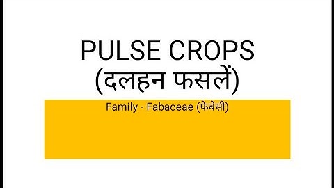 Pulse Crops botanical name