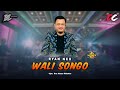 Ryan ncx  wali songo official live music  dc musik