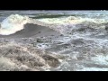 Laguna Del Tule Lagoon Lagoon Breach Pt1