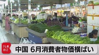 中国　6月の消費者物価指数　横ばい（2023年7月10日）