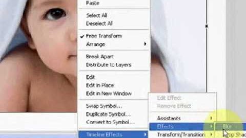 Flash MX - Part 18 - Urdu Tutorial.3gp