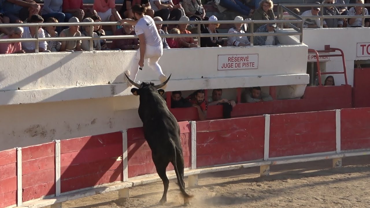 course de TAU 4 et 5 ans aux saintes maries de la mer le 08 10 2025
