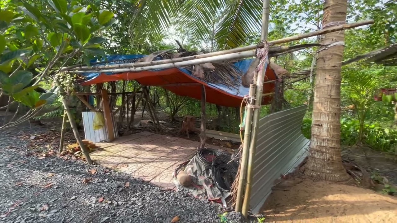 Vùng quê yên bình..hai cha con tư ếch chào bà con mình ngày mới an lành và may mắn..!