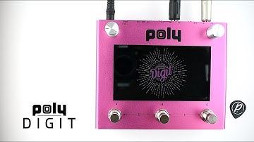Poly Effects DIGIT Quad Delay Reverb (in STEREO, Use Headphones)
