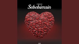 Cengo - Sebebimsin (Sözleri/Lyrics) Resimi