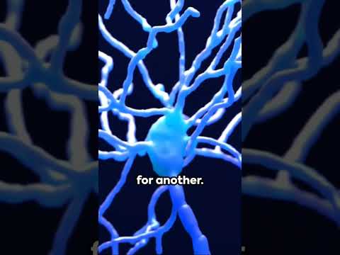 How Viibryd Vilazodone Works The Science Behind This New Treatment for Depression and Anxiety