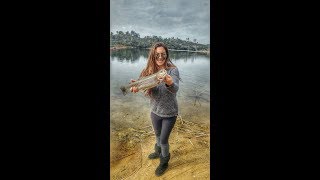 Awesome Trout Fishing Action With Lex! San Diego 2018