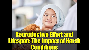 Reproductive Effort and Lifespan: The Impact of Harsh Conditions