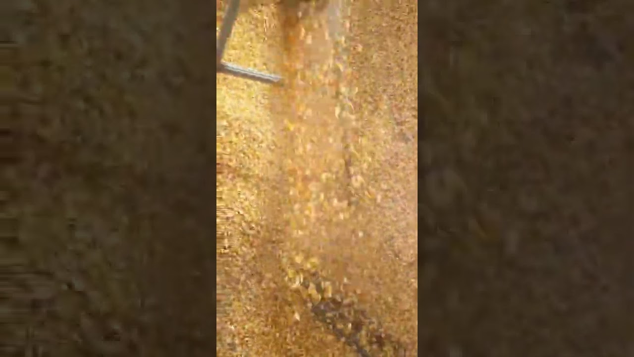 Multi-function grain suction machine, one-button start, fast speed, easy to carry, loaded in a troll