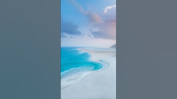 سورة الفجر وتلاوة عطرة..للقارئ الشيخ وليد الأزهرى..