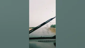 نجيب فريخ الماني 