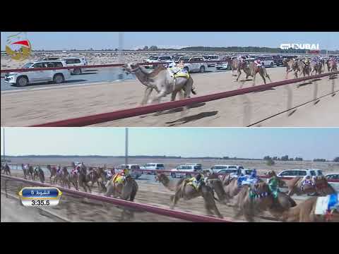 مهرجان ولي عهد دبي لقايا للقبائل 25 1 2025 ش5 روز ل خليفه عبدالله علي عبدالله العطيه 7 23 5