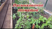 ПРОСТАЯ ЖИЗНЬ НА СЕЛЕ.