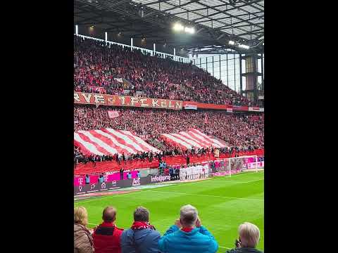 1. FC Köln