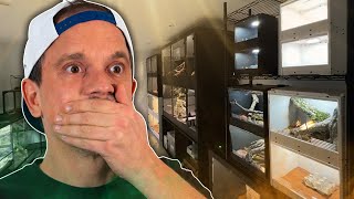 ÉNORME SURPRISE NOUVELLE PIÈCE 100% ANIMAUX ???? -TOOPET