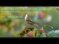 Glorious - David Archuleta (Lyric video)
