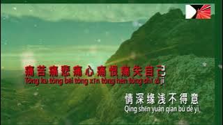 LAI SHENG YUAN karaoke-REMIX