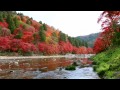 Sleep Music 1 Hour Series ①～Soothing Music～Deep Relaxing