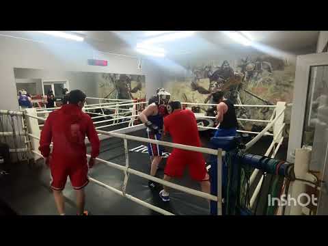 видео: бокс спаринги в Пересвет Реутов