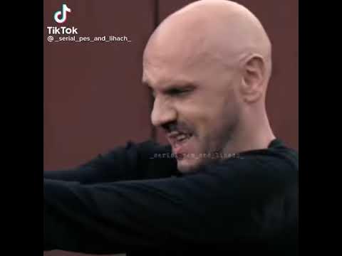 Фильм Пёс Максим Максимович💪💪💪 - YouTube