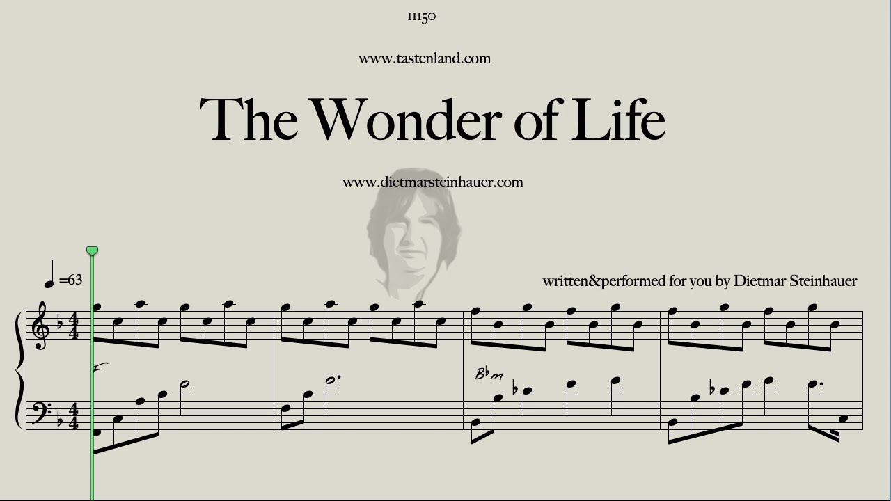 The Wonder of Life - Easy Piano - Dietmar Steinhauer - YouTube