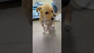 klein Guido  2022 10 13 at 09 27 51