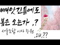 빼앗긴 들에도 봄은오는가?