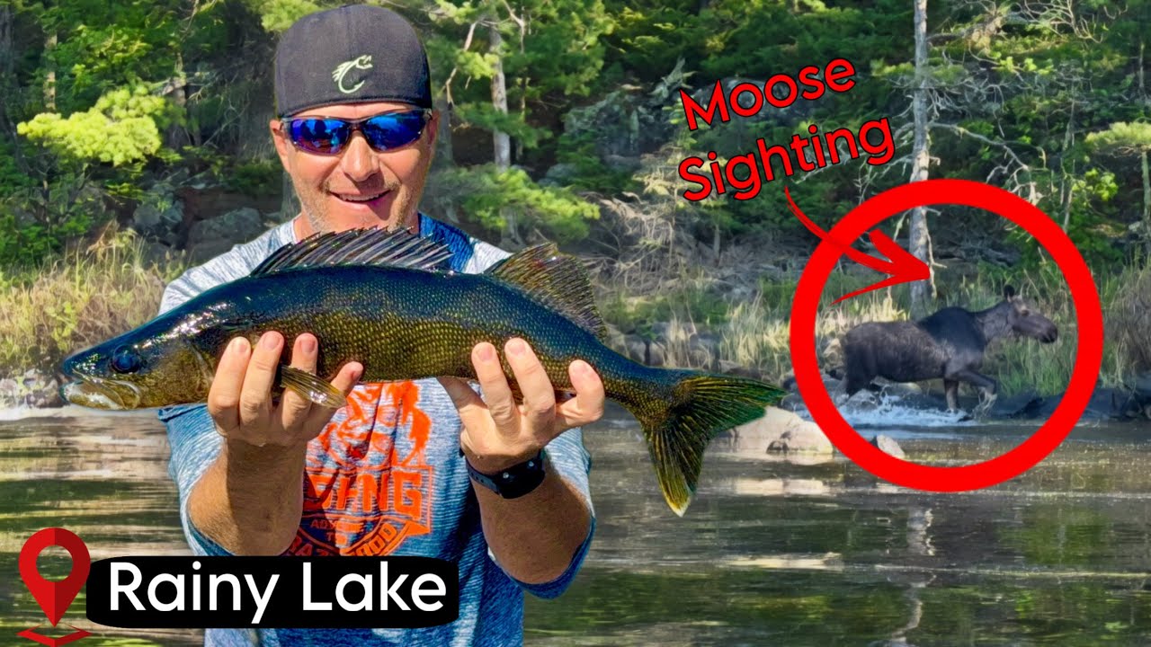 Rainy Lake Multi-Species Fishing Challenge | Walleye, Pike & Smallmouth Bass