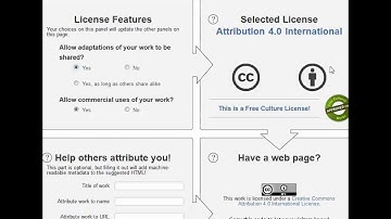 Choose a license using Creative Commons license generator.