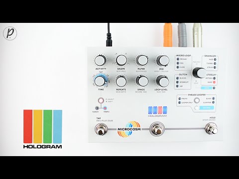 ギター Hologram Microcosm looper delay glitch Hologram Microcosm looper delay glitch - メルカリ
