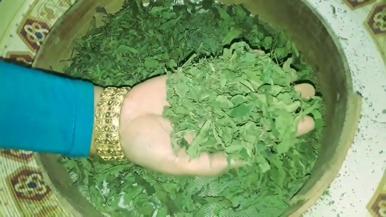 طريقة تكريم الملوخية الناشفة وازاي تنشفيها صح علي طريقتنا في الصعيد الجواني قنا