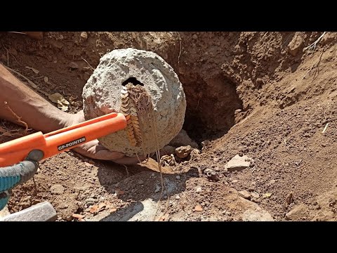 I found great treasure with satellite image