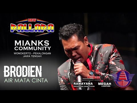 CINTA DAN AIR MATA   TIARA AMORA NEW PALLAPA || SEWINDU PLAT K 2024