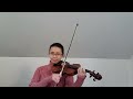 王菲 - 容易受傷的女人 | Violin Cover by Angela