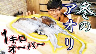 真冬に釣れたキロオーバーのイカが美味すぎた！