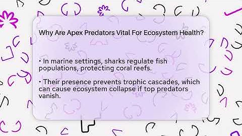 Why Are Apex Predators Vital For Ecosystem Health? - Explaining Ecology