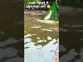 मच छ ख न म बह त Shorts Fishing Fish Satis Machhi