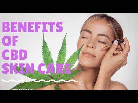 Medterra CBD Gummy Review: 4 Honest Takeaways for Pain Relief