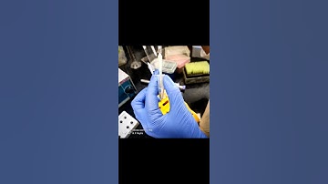 Lab work//ICMR-NIMR #DNAisolation #internship #enjoyment #Learning #delhi @Rakshita_Magar