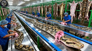 Download Lagu From Live Python To Luxury Coat - Inside Factory MP3