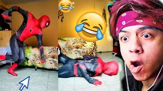 Tik Toks Do Homem Aranha Tente Não Rir