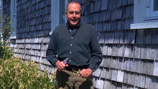 In the Garden - Pruning Winter Kill