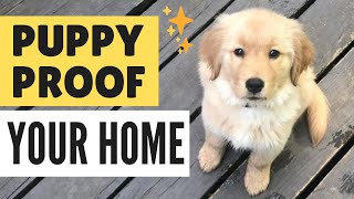 How to Puppy Proof your Home - Puppy Proofing for New Puppy