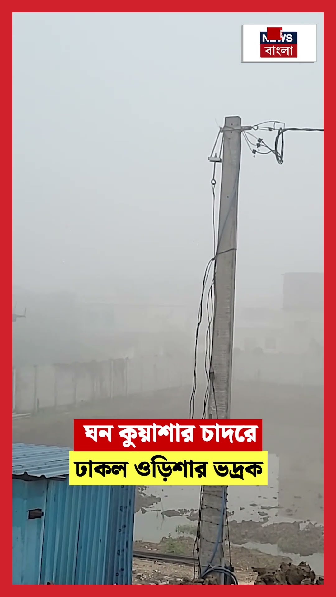 ঘন কুয়াশার চাদরে ঢাকল Odishaর  Bhadrak  | N18S #shorts