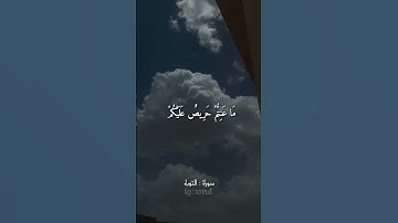Quran Kareem story 🌸WhatsApp أجمل قرائه قرآن كريم حالات واتس 🍃 《 سوره التوبه 》