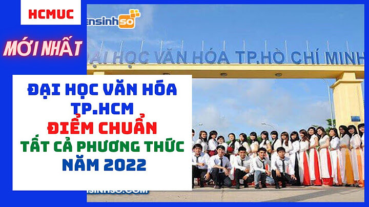 Có nên học đại học văn hóa tp hcm