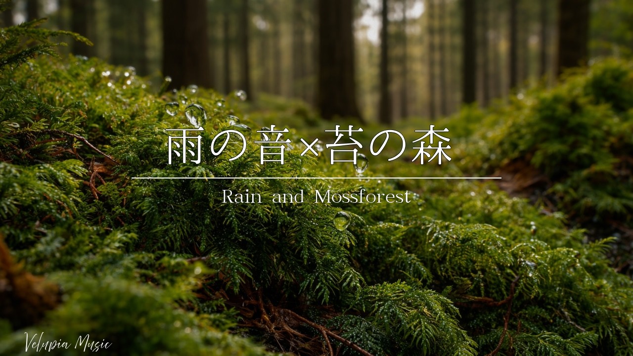 自律神経を整える自然音｜雨の音×苔の森｜睡眠・リラックス・瞑想